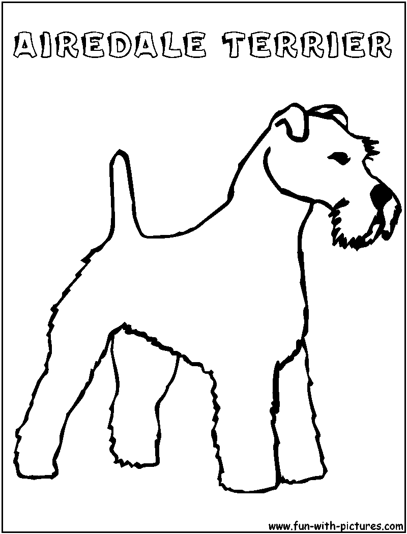 Airedaleterrier Coloring Page 
