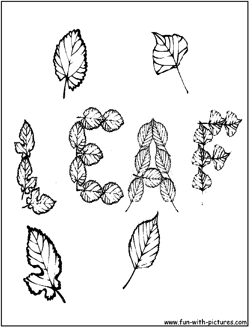 Autumn Leaves Coloring Page 