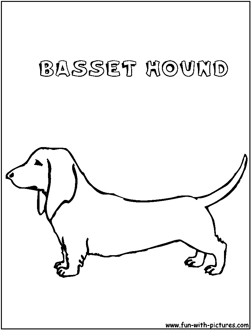 Bassethound Coloring Page 