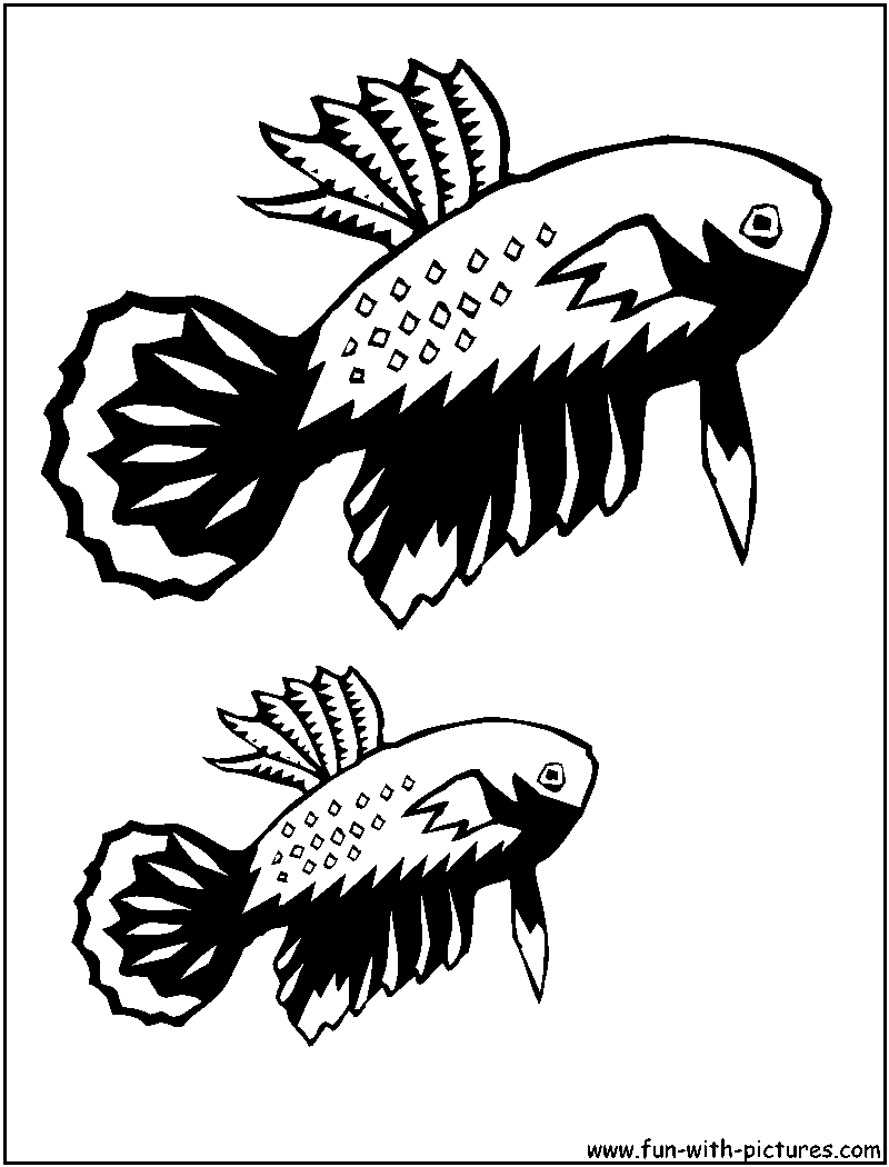 Betta Coloring Page 