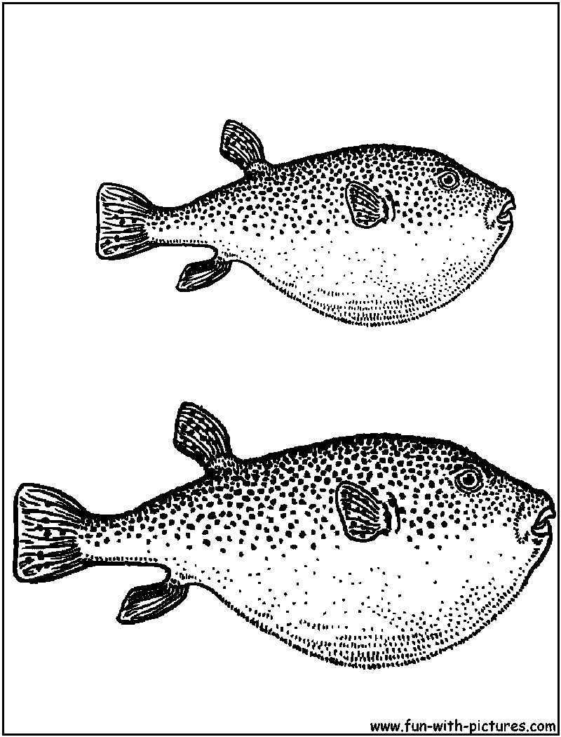 Blowfish Coloring Page 