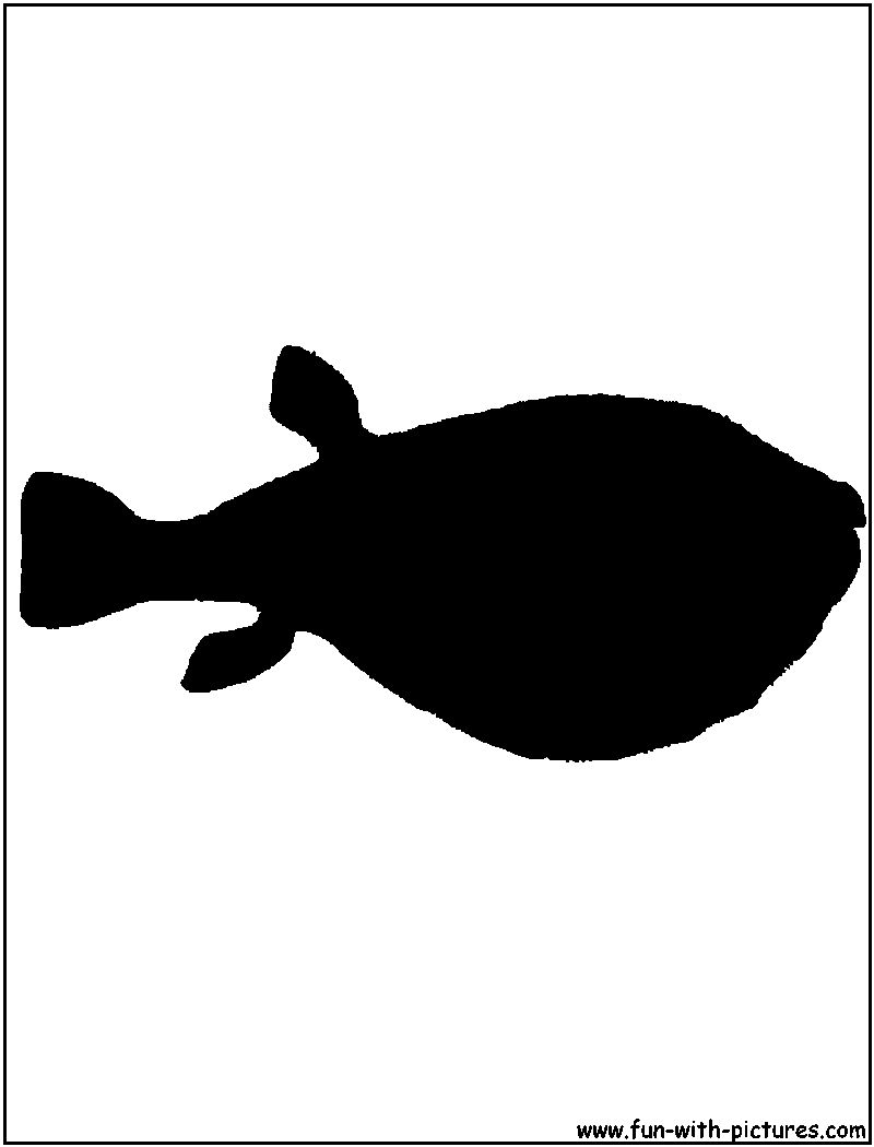 Blowfish Silhouette