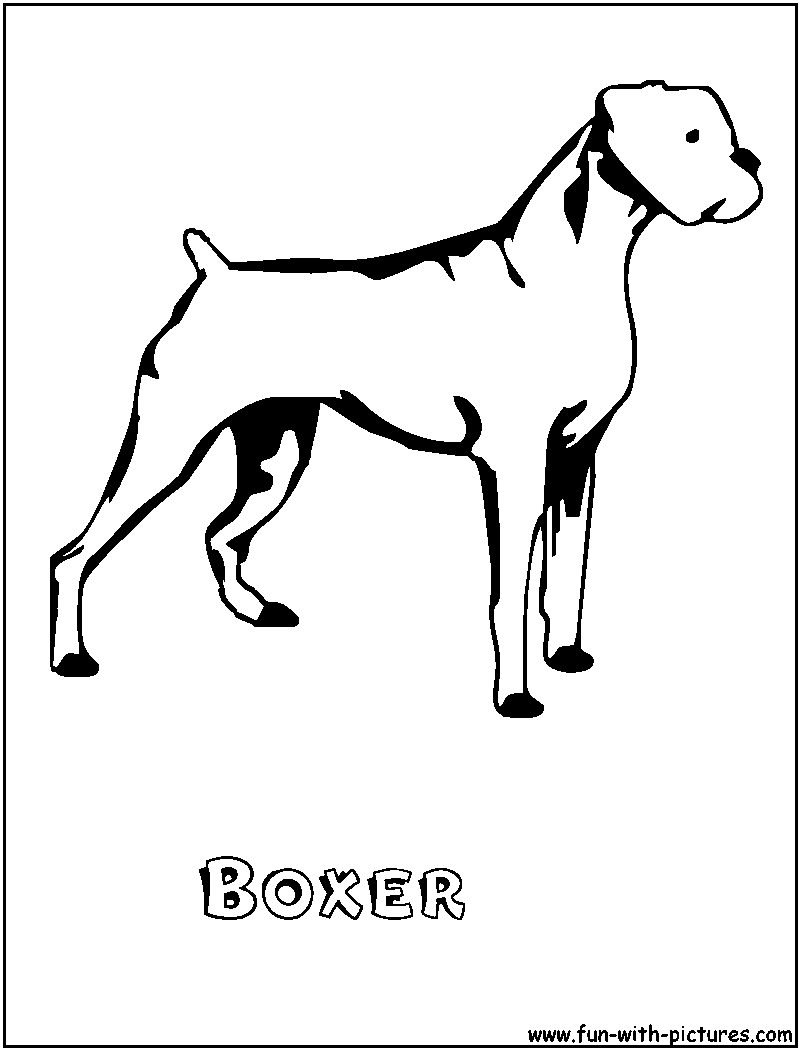 Boxer Coloring Page 