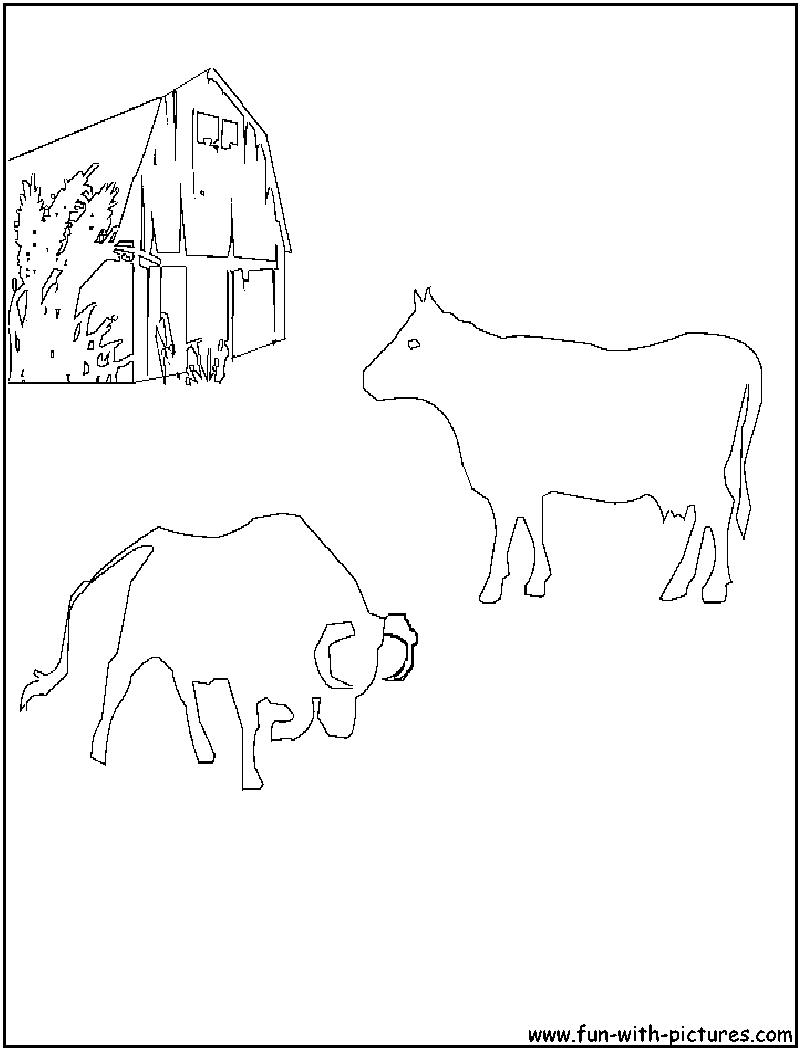 Bull Cow Coloring Page 