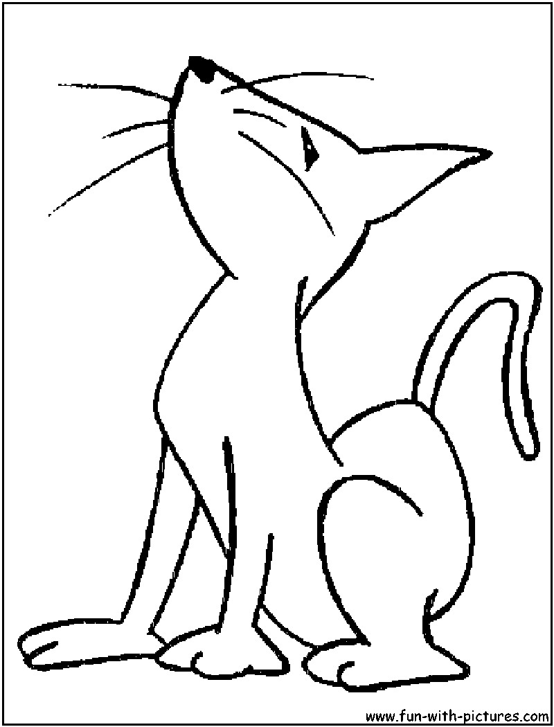Cartooncat Coloring Page 
