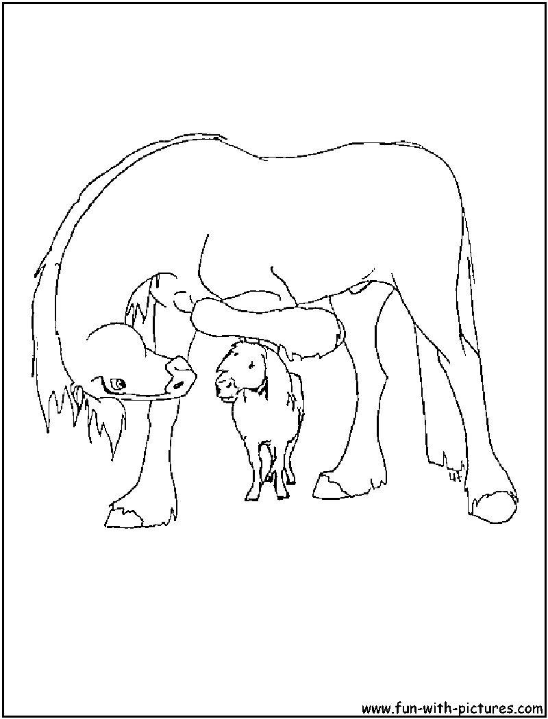 Clydesdale Horse Coloring Page 