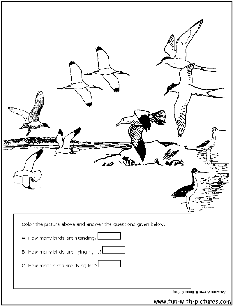 Count Birds Coloring Page 
