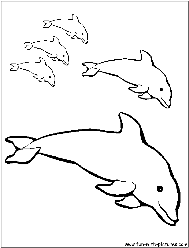 Dolphins Coloring Page 