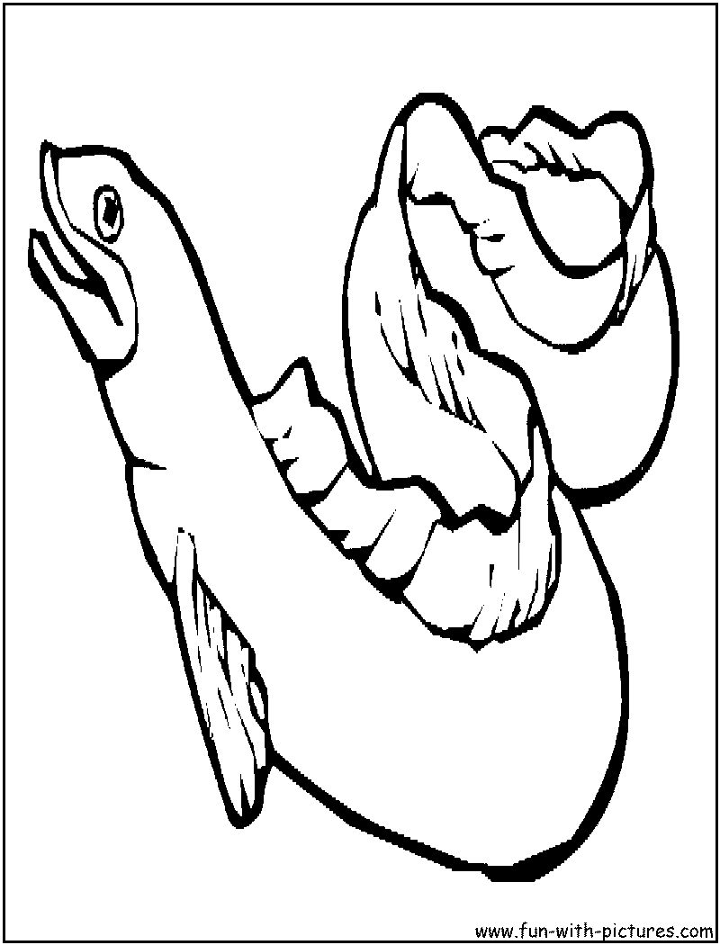 Eel Coloring Page 