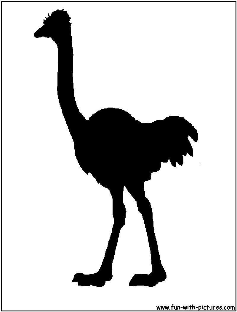 Emu Silhouette