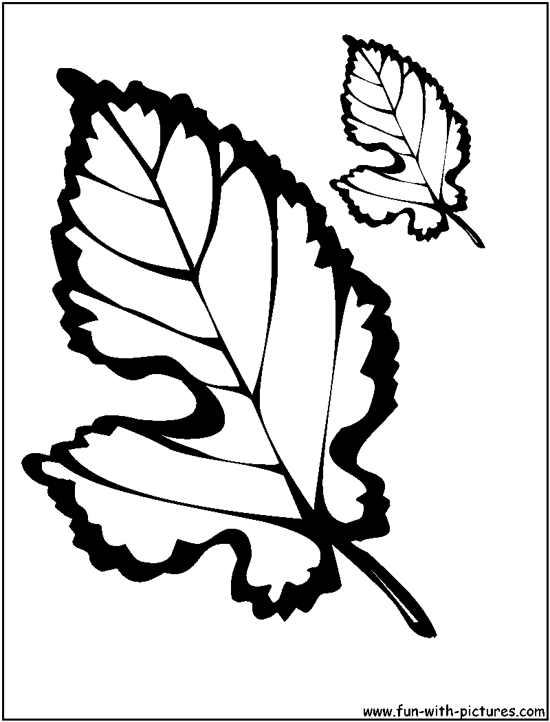Fall Leaf Coloring Page 