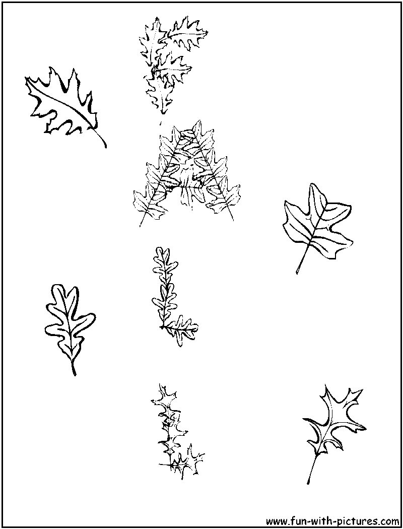 Fall Leaves Coloring Page 