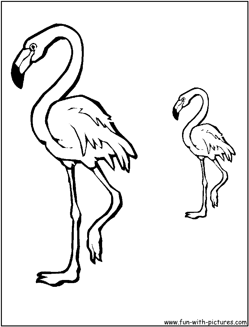 Flamingo Coloring Page 