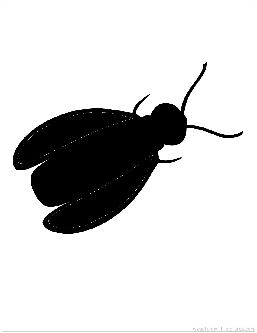 Fly Silhouette