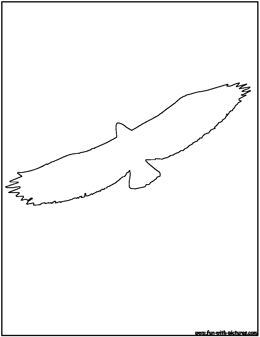 Flying Eagle Outline Coloring Page 