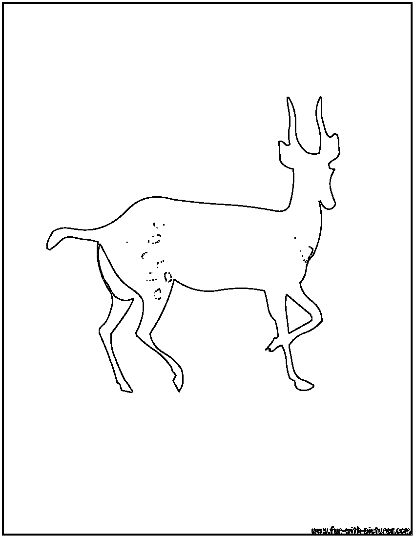 Gazelle Outline Coloring Page 