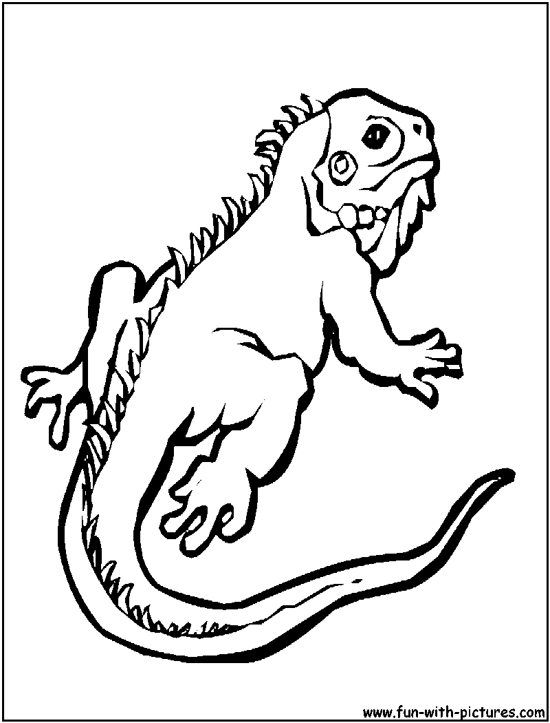 Gecko Coloring Page 