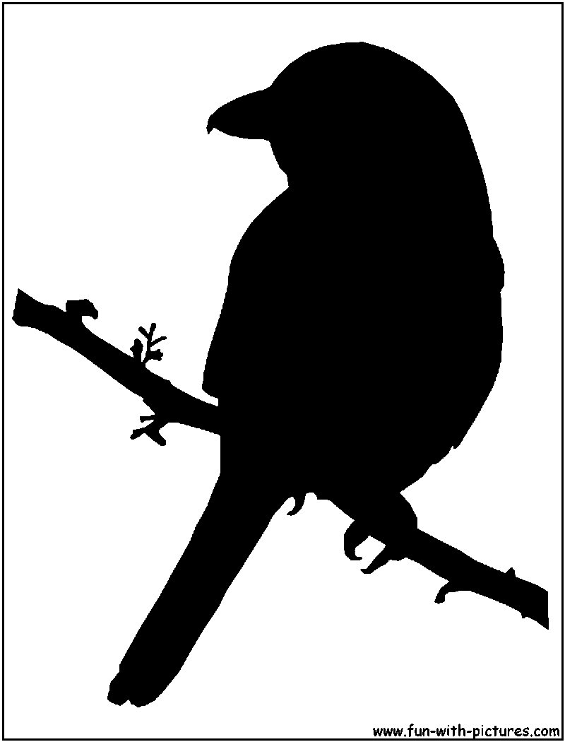 Grey Shrike Silhouette