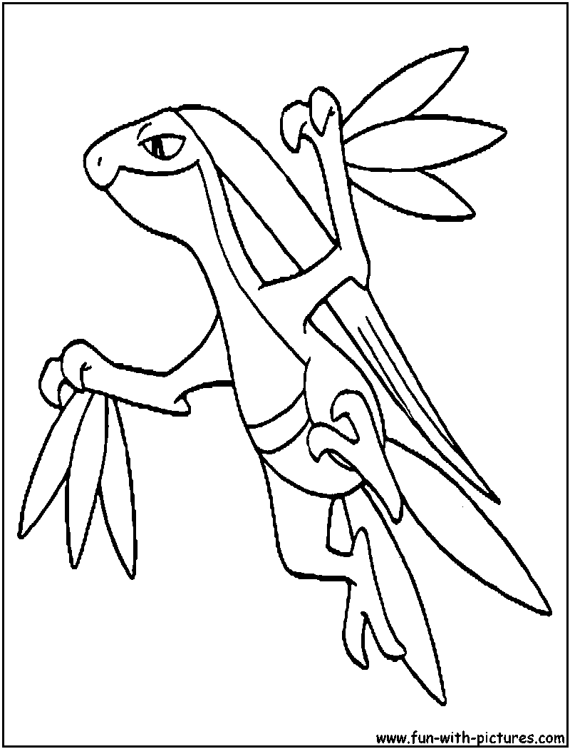 Grovyle Coloring Page 