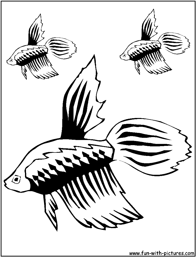 Guppy Coloring Page 