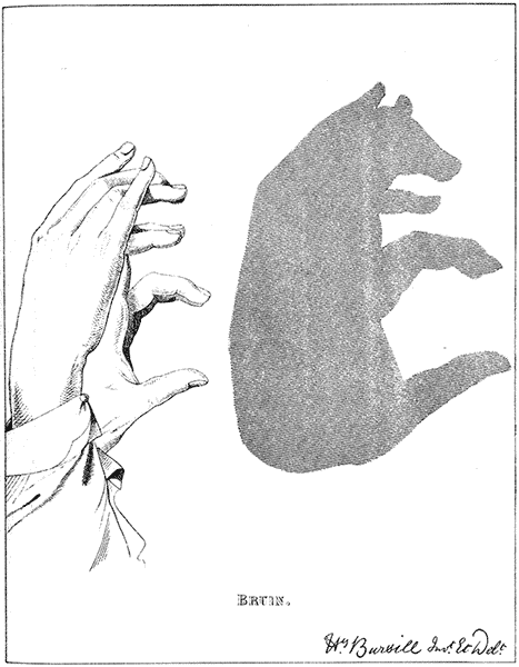 Hand Shadow Of Bear