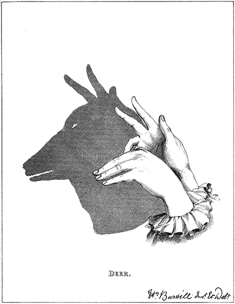Hand Shadow Of Deer