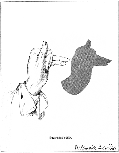 Hand Shadow Of Greyhound