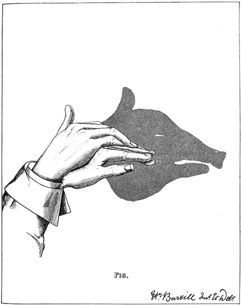 Hand Shadow Of Pig