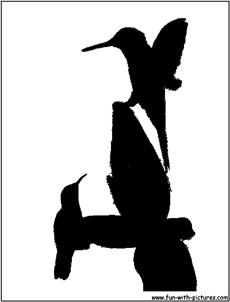 Hummingbirds Silhouette