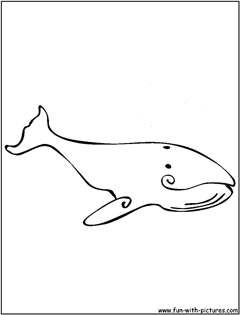 Humpback Whale Coloring Page 