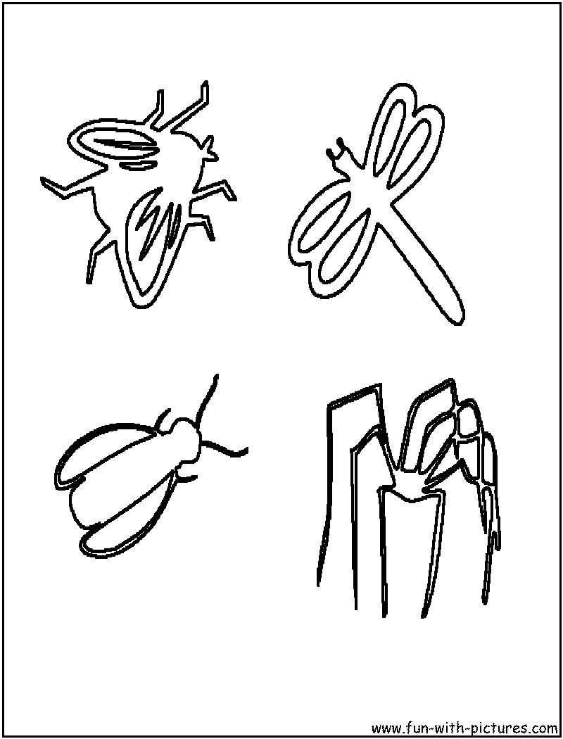 Insects Coloring Page 