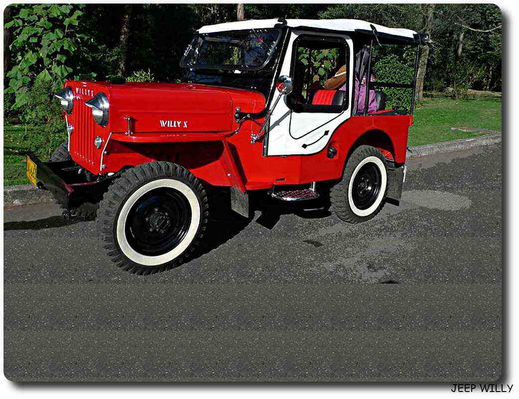 Jeep Willy Car 