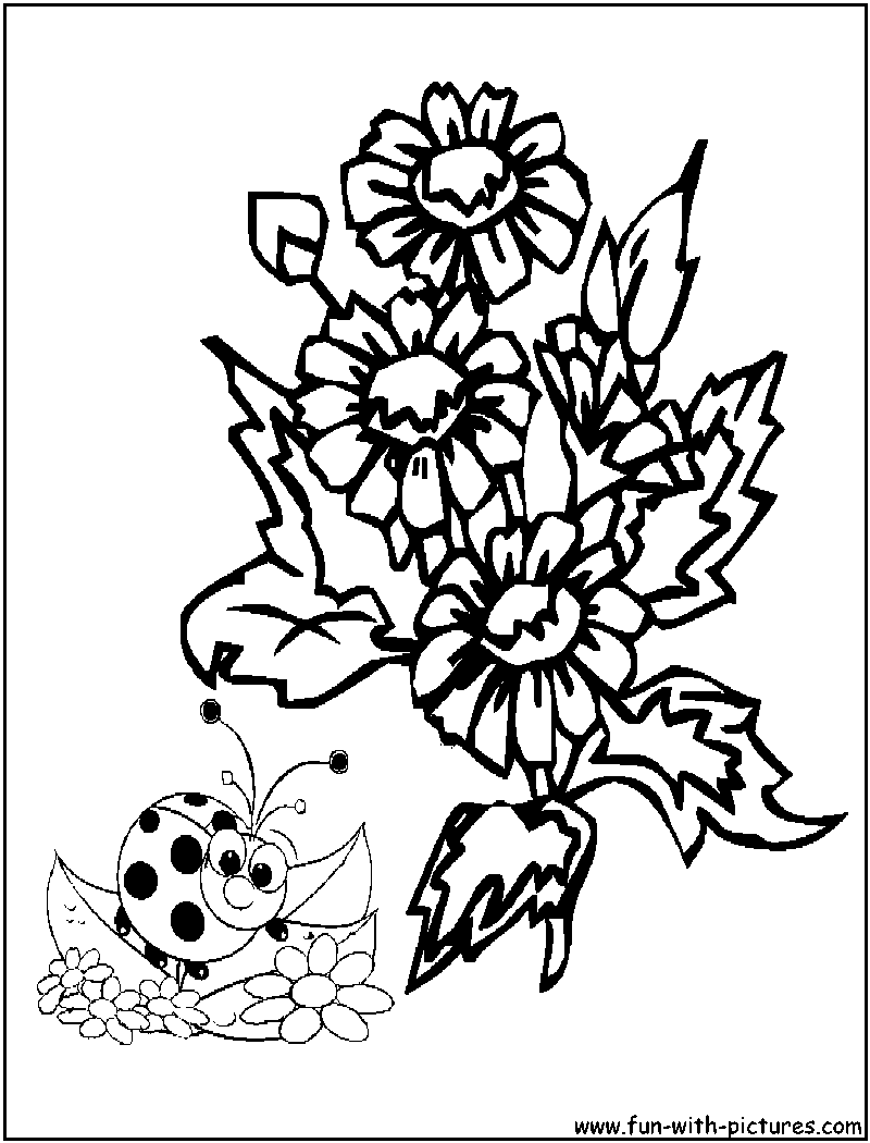 Ladybug On Flowers Coloring Page 