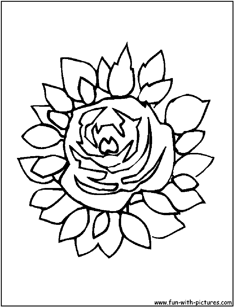 Largeflower Coloring Page 