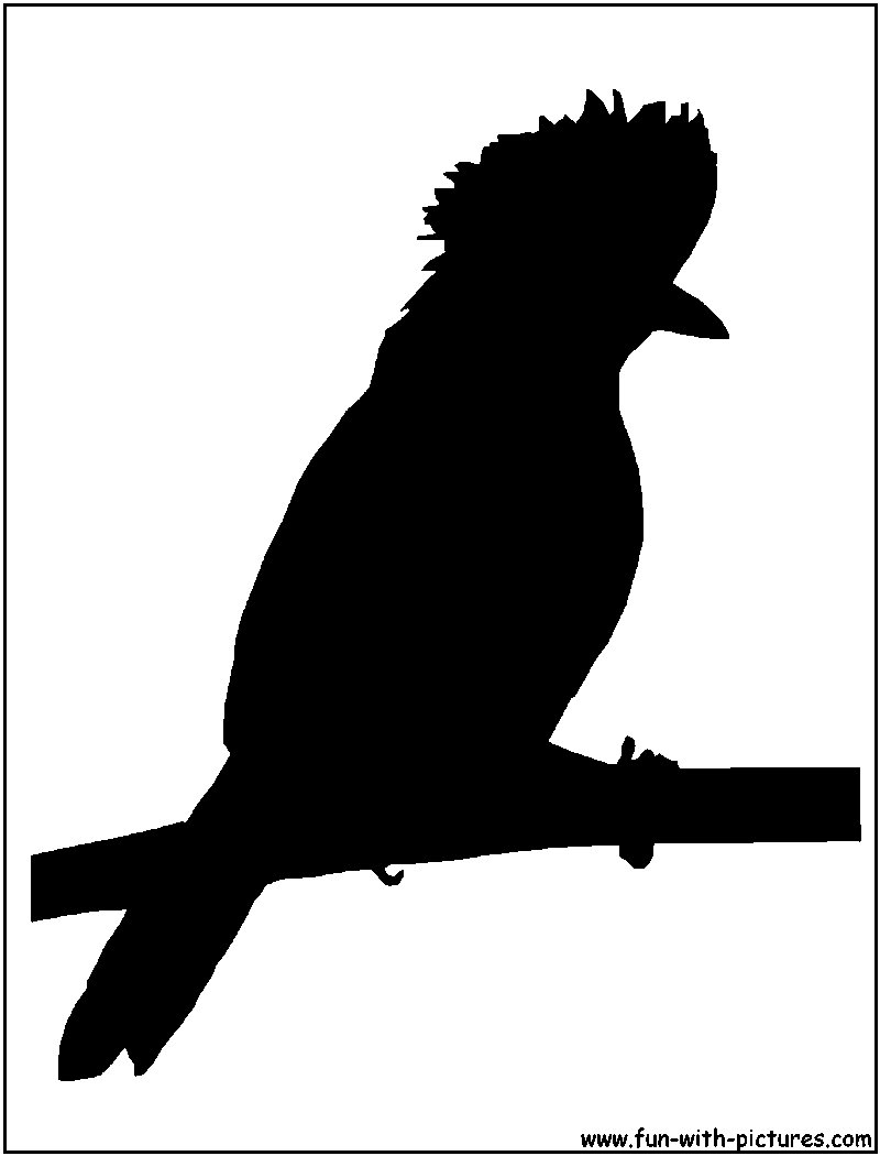 Laughing Thrush Silhouette