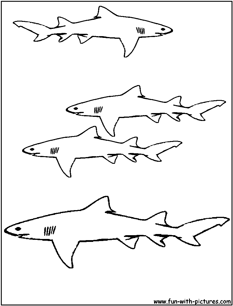 Lemon Shark Coloring Page 