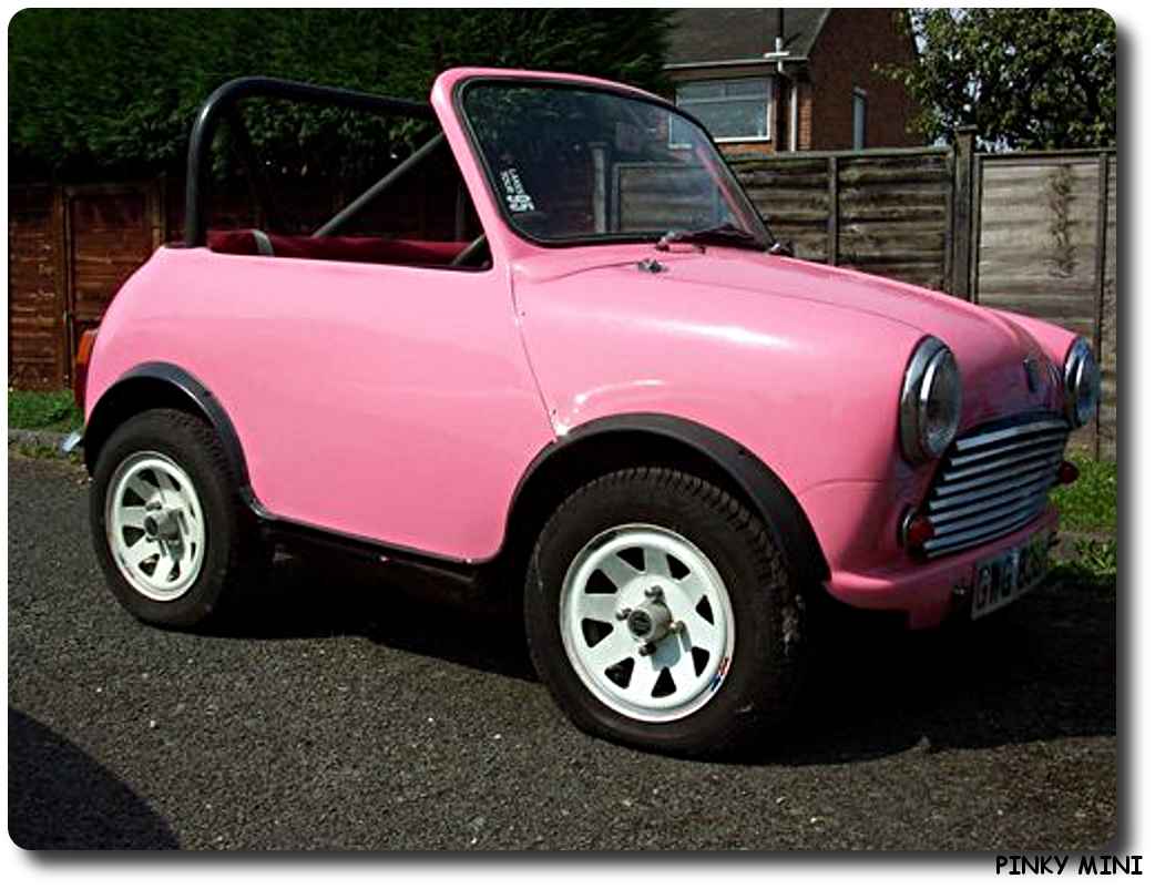 Mini Pinky Car 