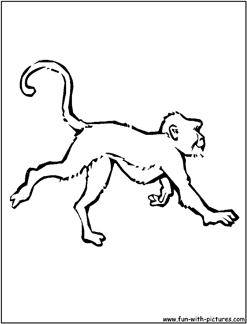 Monkey Coloring Page 