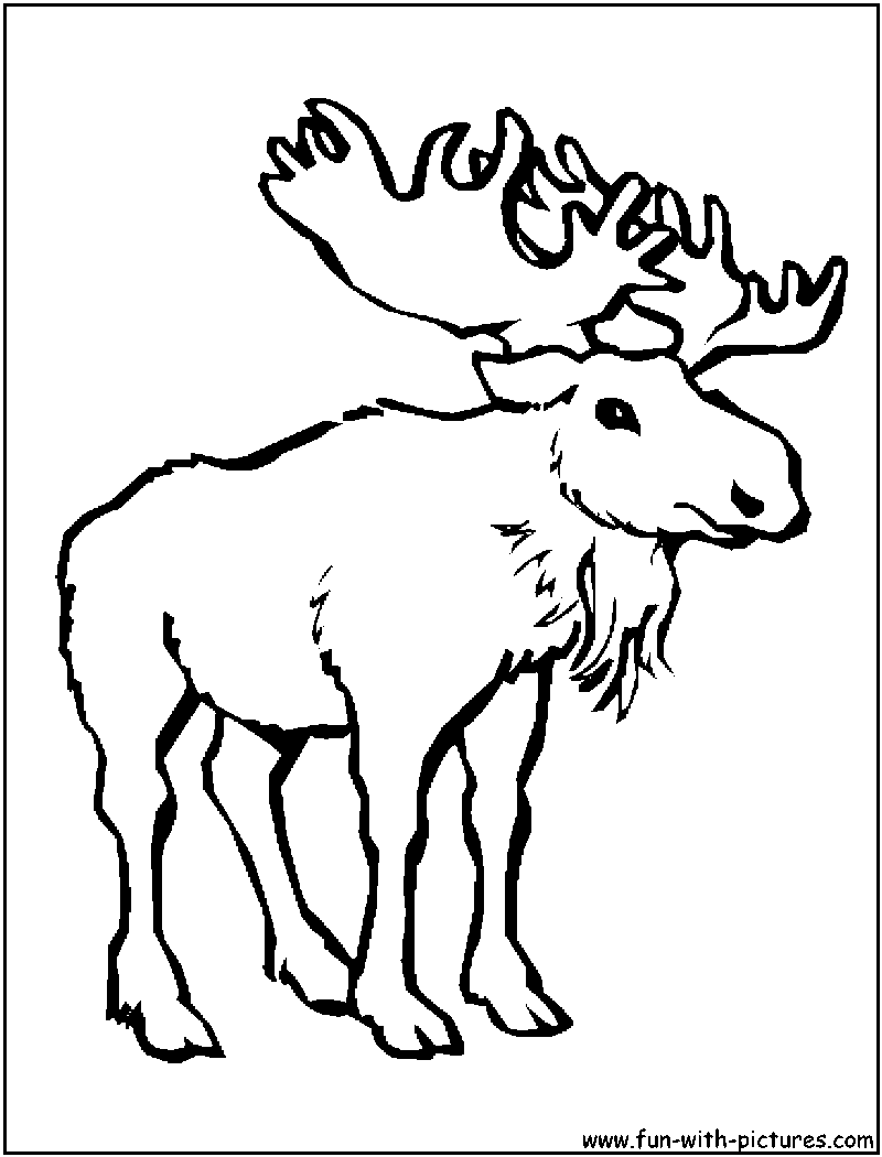 Moose Coloring Page 