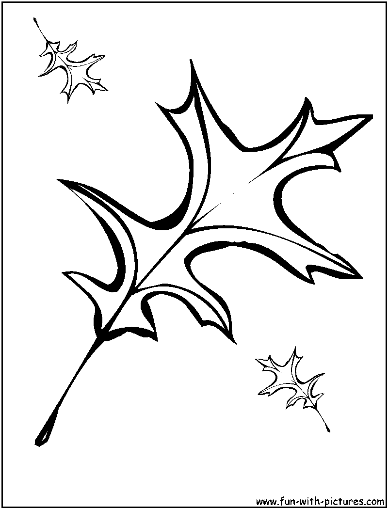 Oak Leaves Coloring Page 