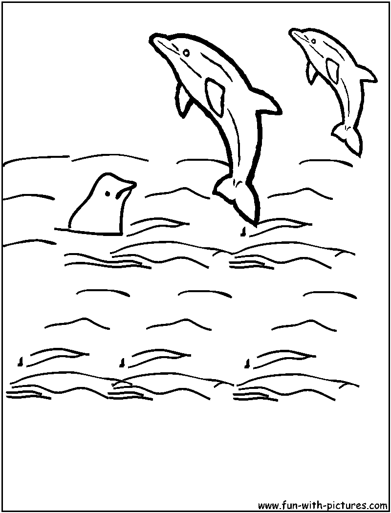 Orcas Coloring Page 