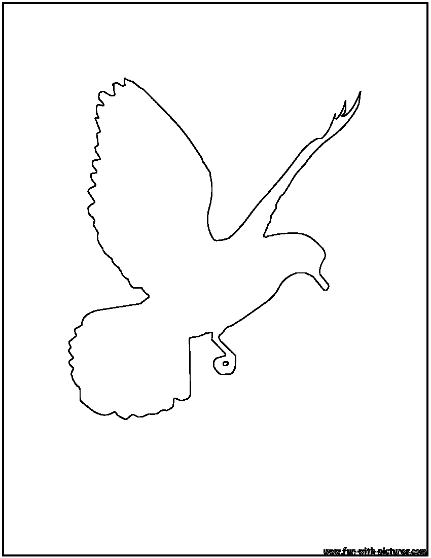 Pigeon Outline Coloring Page 