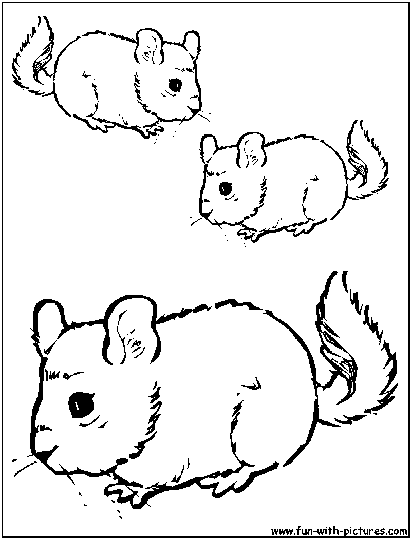 Pika Coloring Page 