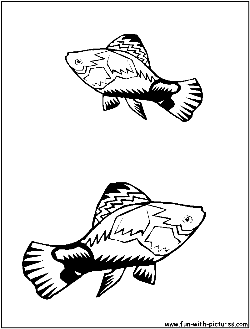 Platy Coloring Page 
