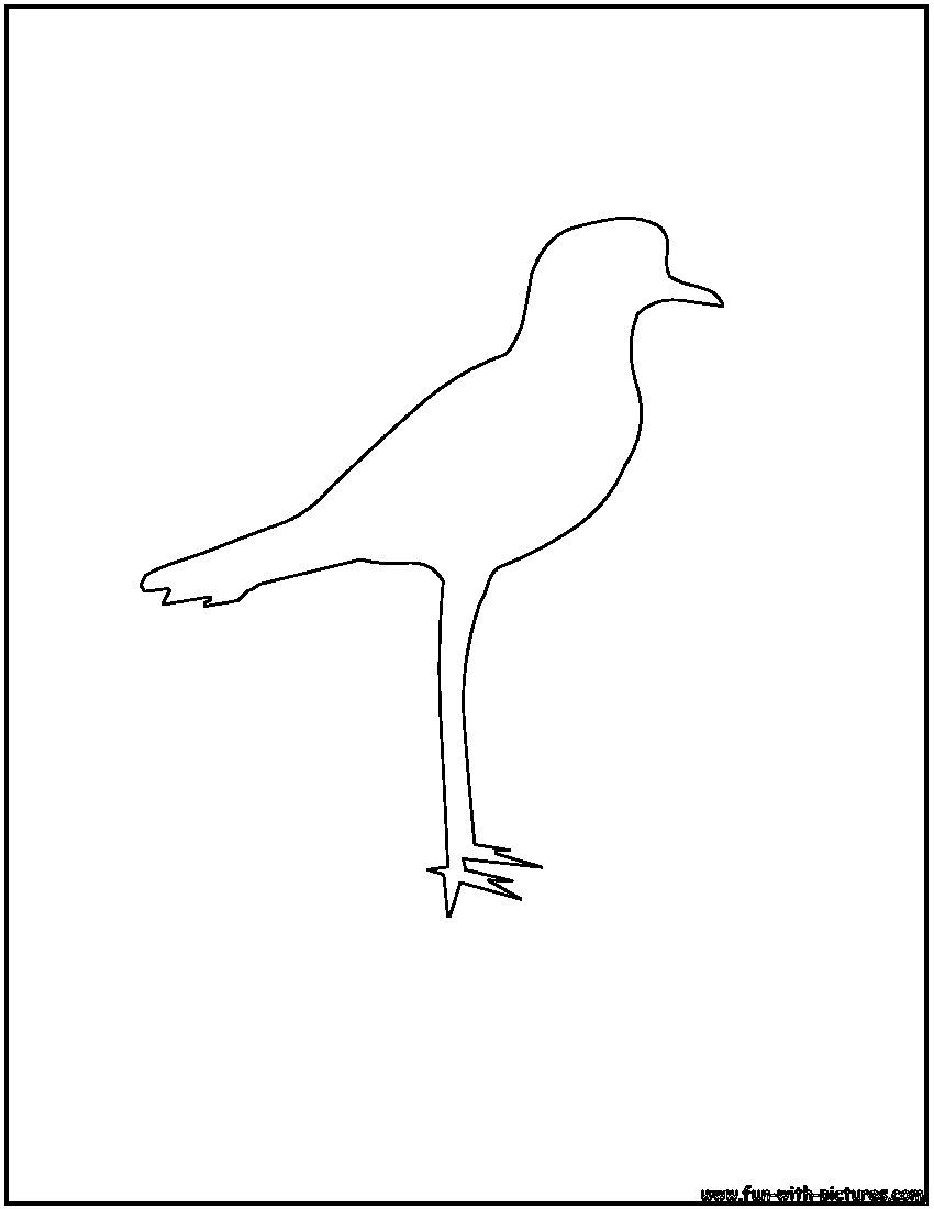 Plover Outline Coloring Page 