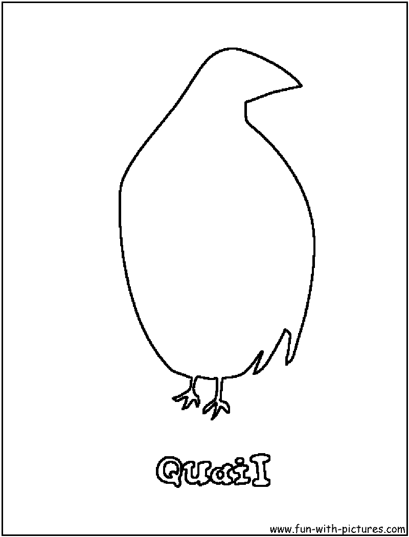 Quail Coloring Page 