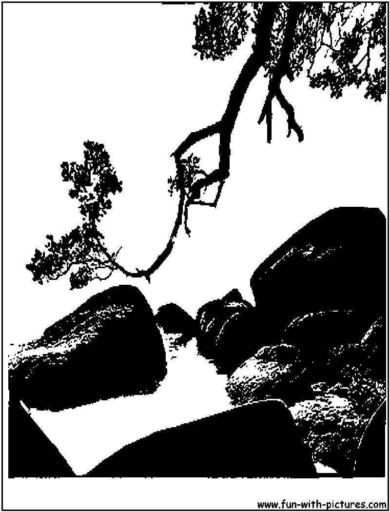 Rock Tree Silhouette