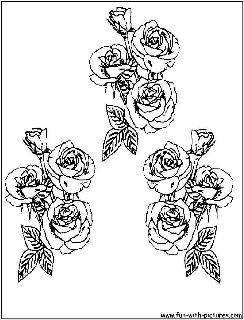 Roses Coloring Page 