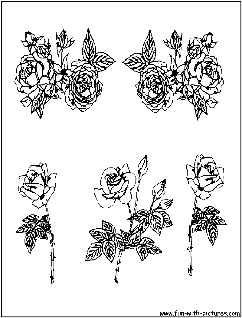 Rosesgalore Coloring Page 