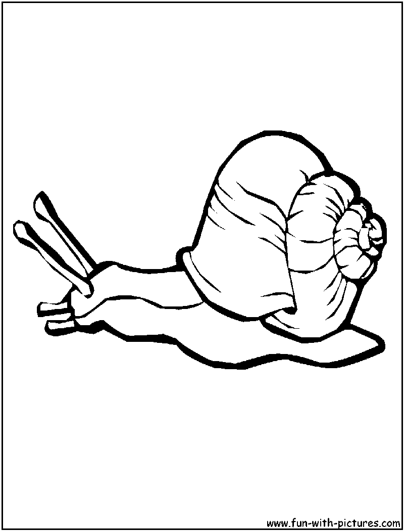 Snail Coloring Page 